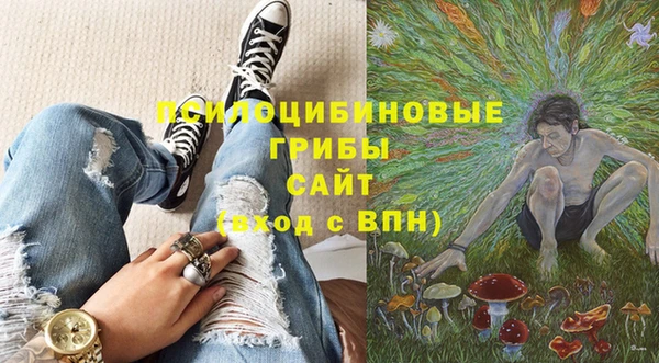 крисы Алексин
