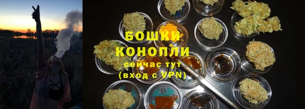 молекула духа Михайловск