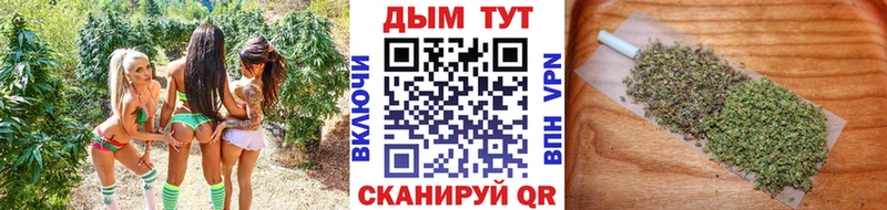 Бошки марихуана Amnesia  маркетплейс состав  Ступино  закладки 
